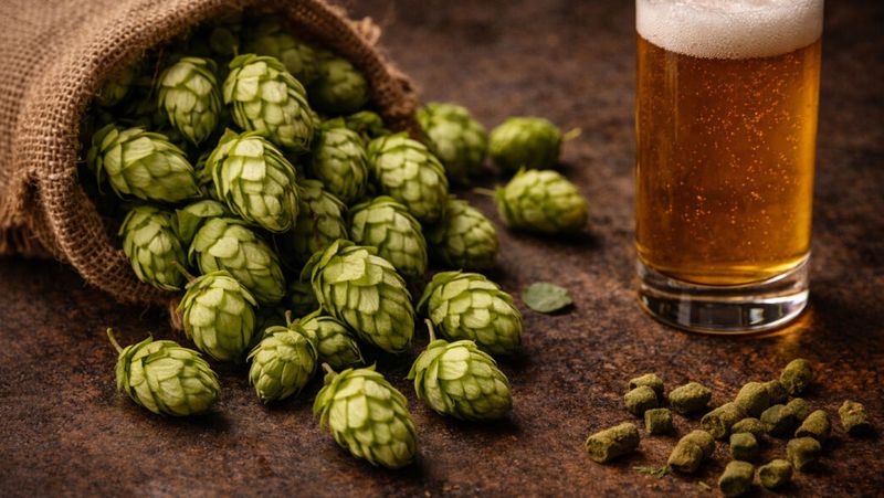Hops (Craft Beer)