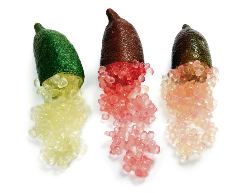 Finger Lime