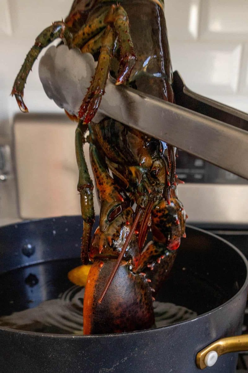 Lobster