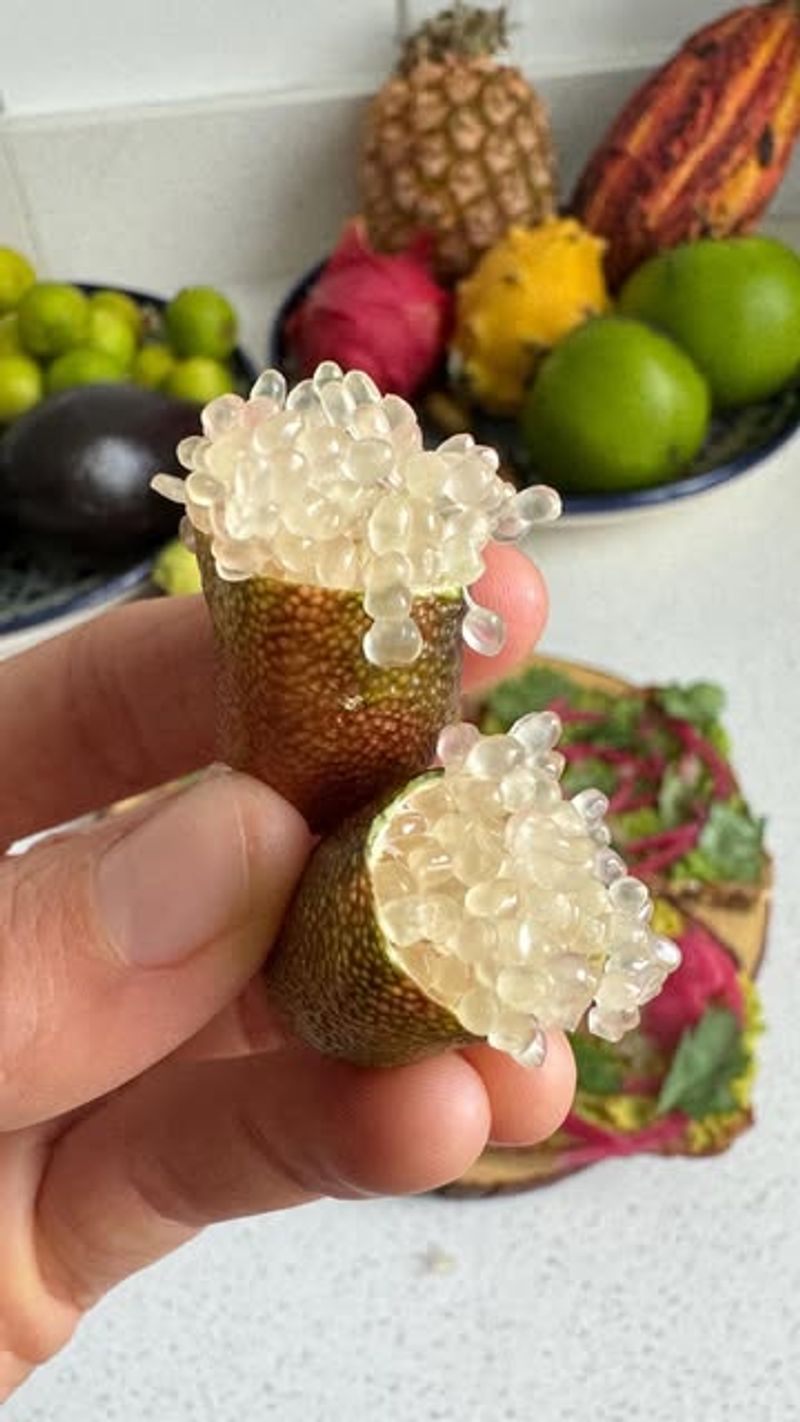 Finger Lime