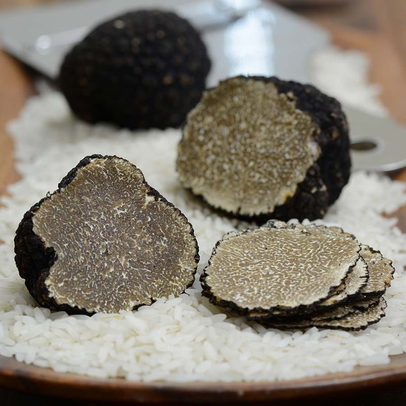 Truffle: The Underground Luxury Nobody Planned
