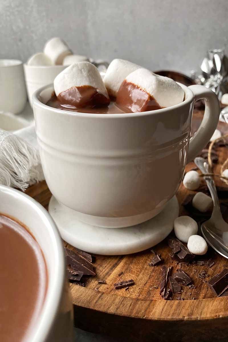 Hot Cocoa with Marshmallows