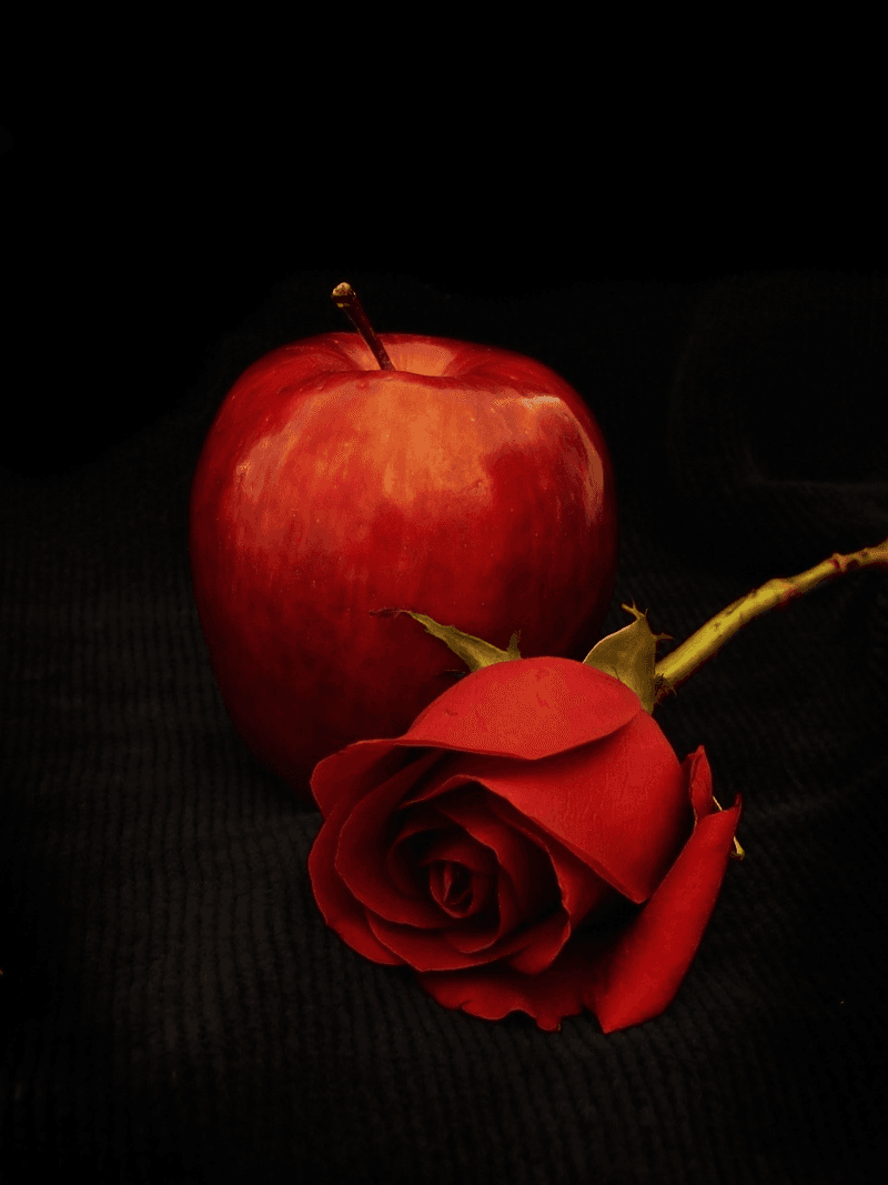 Apples Are Related to Roses