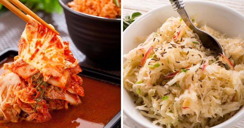 Cabbage: Tangy Sauerkraut in Germany vs. Spicy Kimchi in South Korea