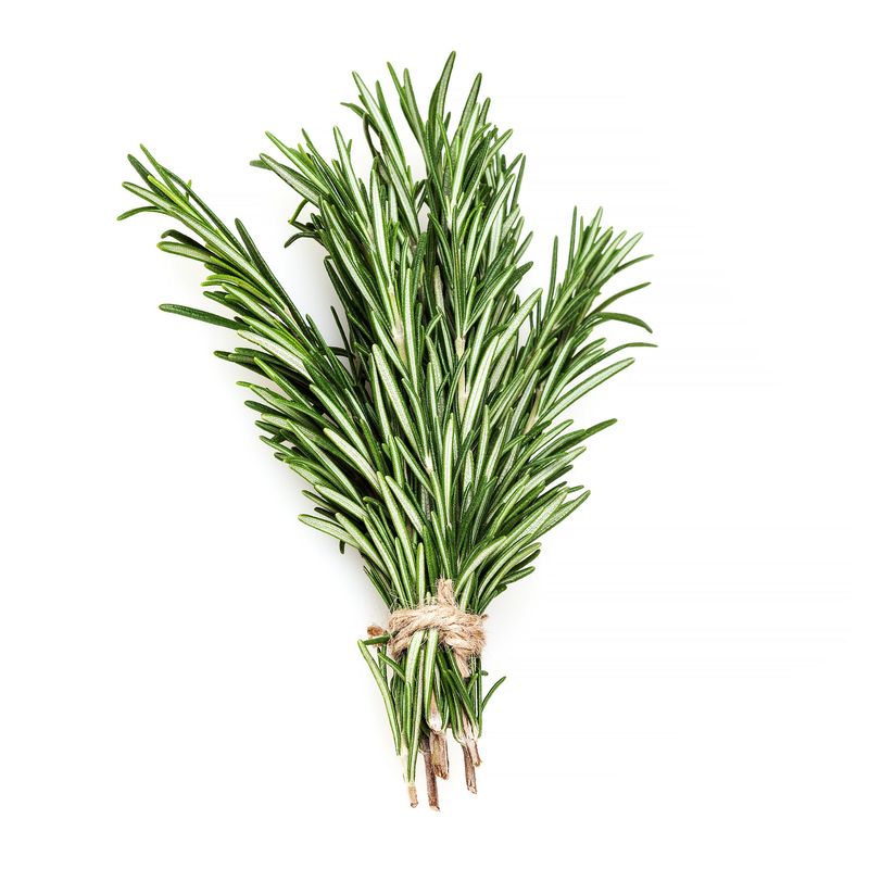 Fresh Rosemary