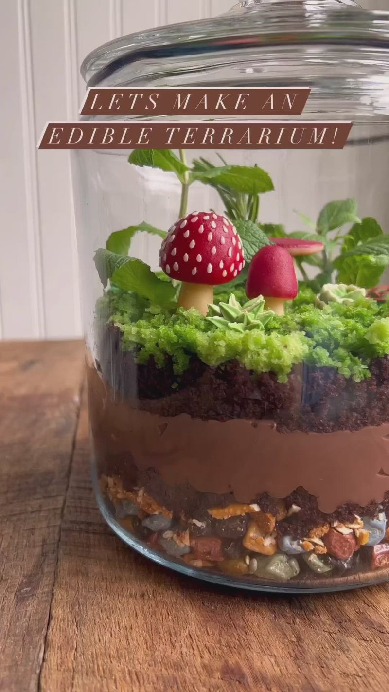 Chocolate Terrarium