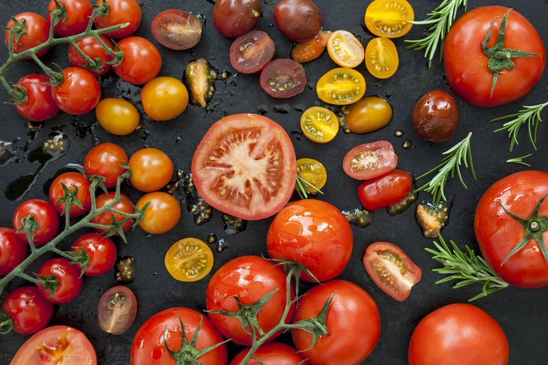 Picking the Best Looking Tomatoes
