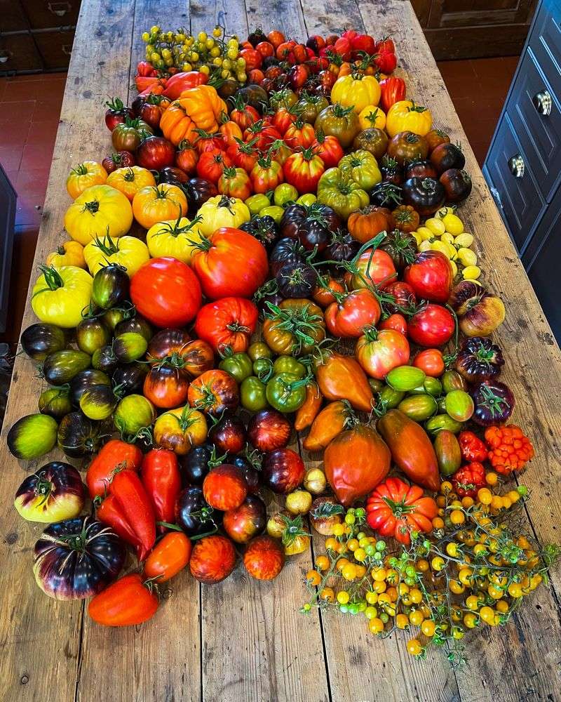 Growing Heirloom Vegetables