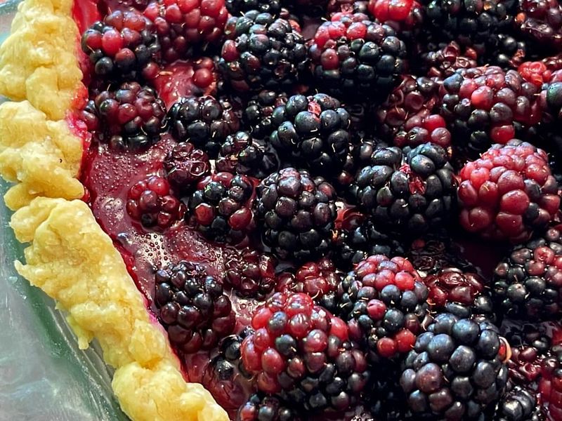Blackberry Jam Tart