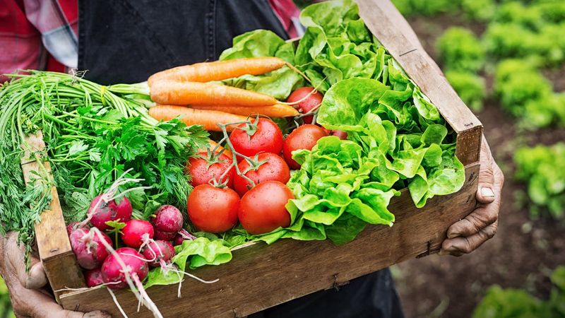 Organic Food Is Always More Nutritious