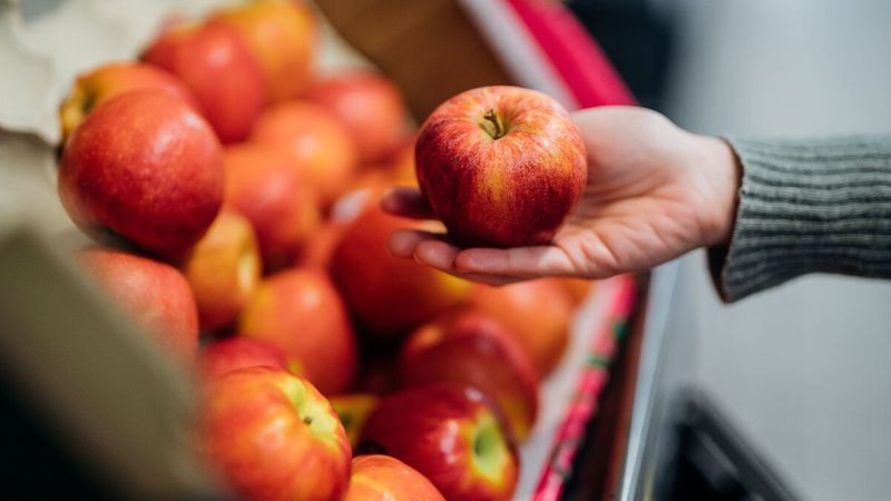 Picking the Least Bruised Apples From the Bin