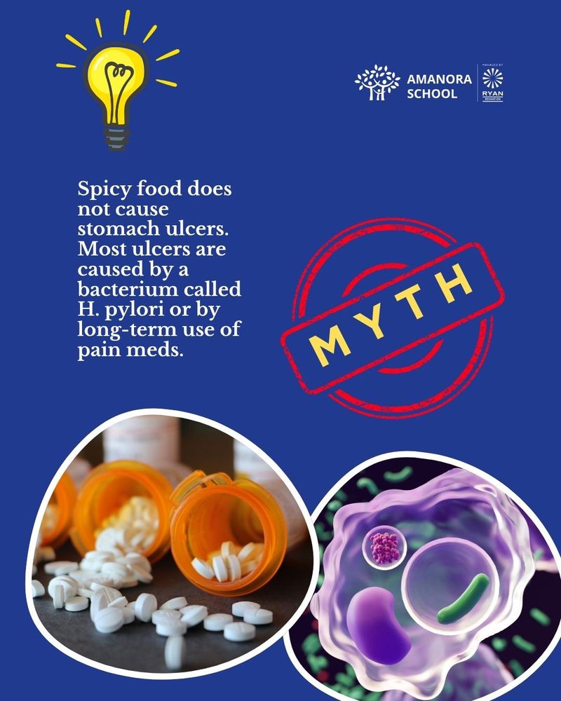 Spicy Food Causes Stomach Ulcers