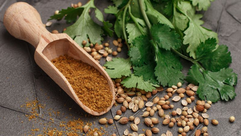 Cilantro or Coriander?