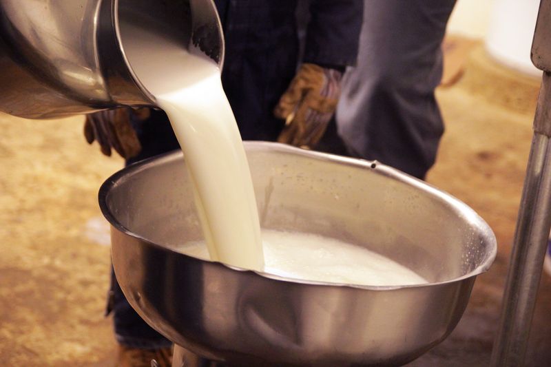 Raw Milk