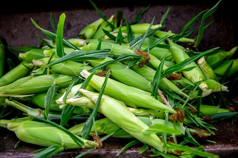 Sweet Corn