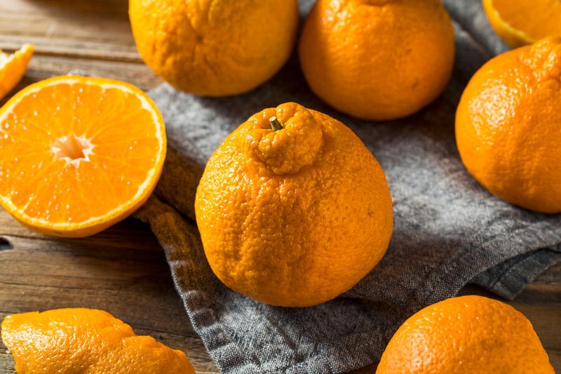 Oranges