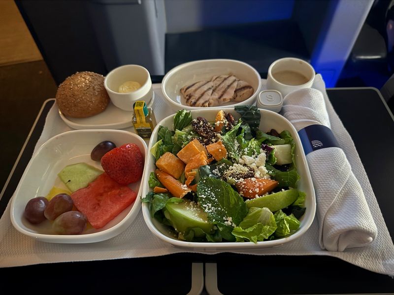 Lukewarm Plane Meal