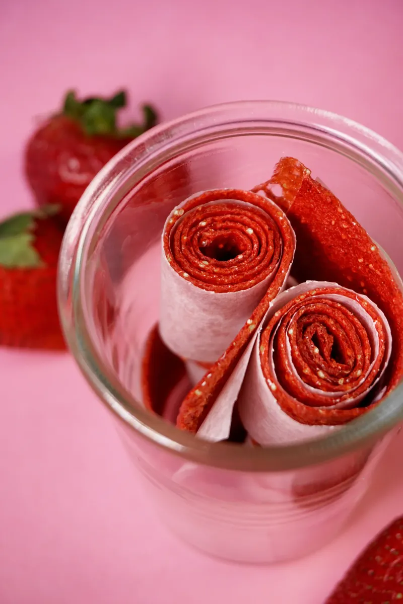 DIY Fruit Roll-Ups