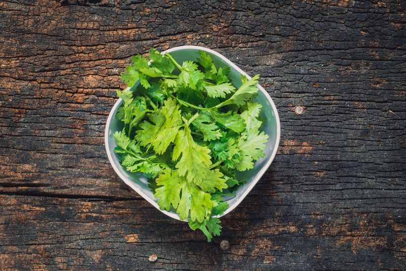 Hating Cilantro With a Passion