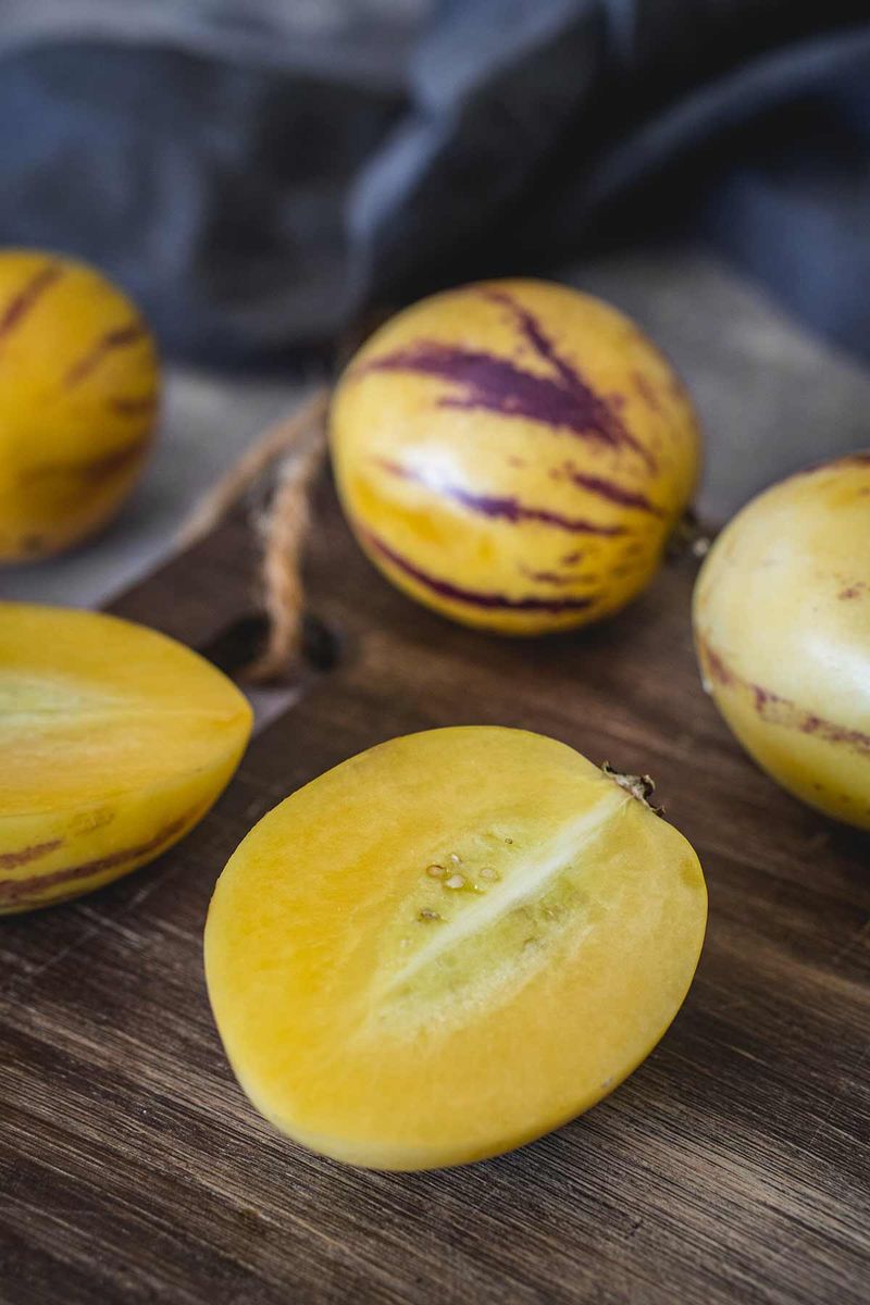 Pepino Melon