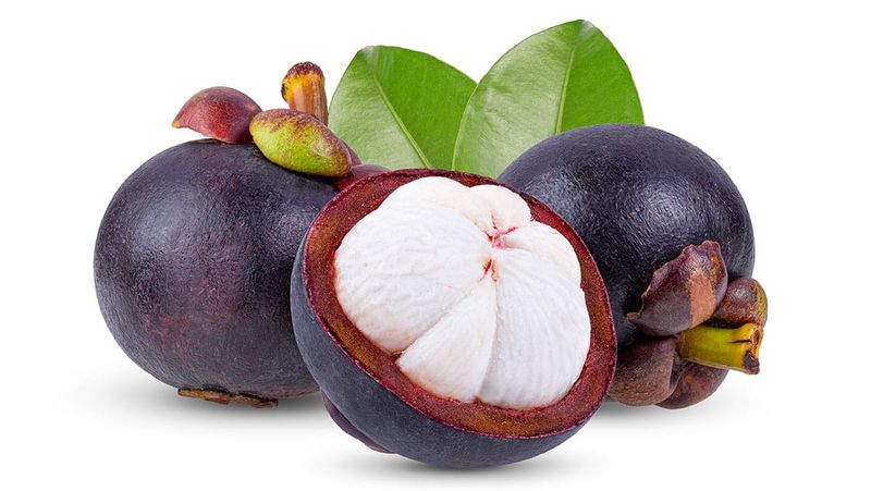 Mangosteen