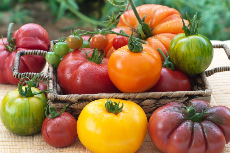 Seed Saving and Heirloom Vegetables