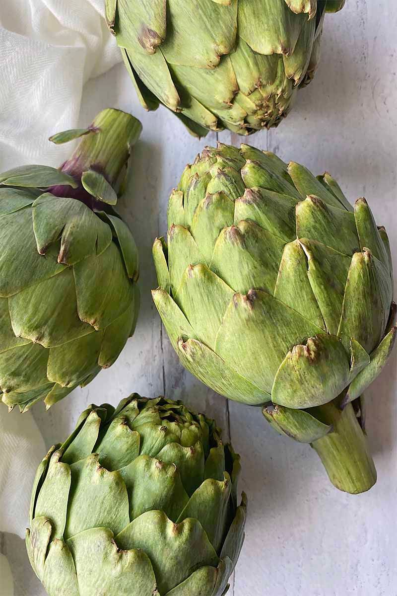 Artichoke