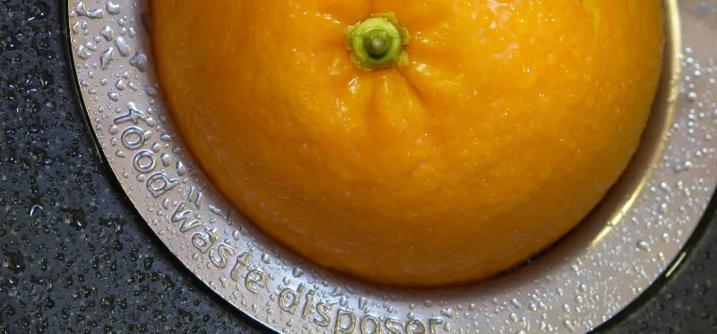 Freshen Up Your Garbage Disposal