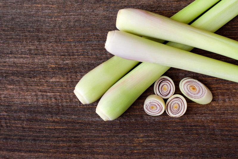 Lemongrass