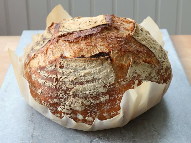 Sourdough Expansion
