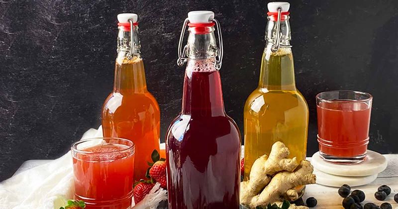 Kombucha and Fermented Drinks
