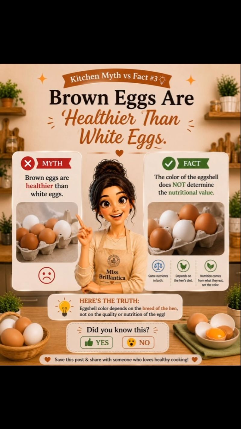 Brown Eggs Are Healthier Than White Eggs
