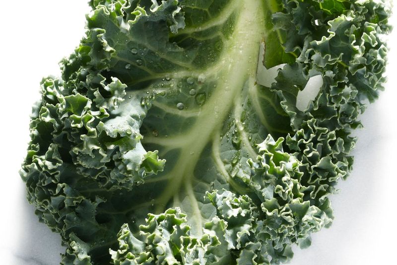 Kale: How a Garnish Became a Superfood Trophy