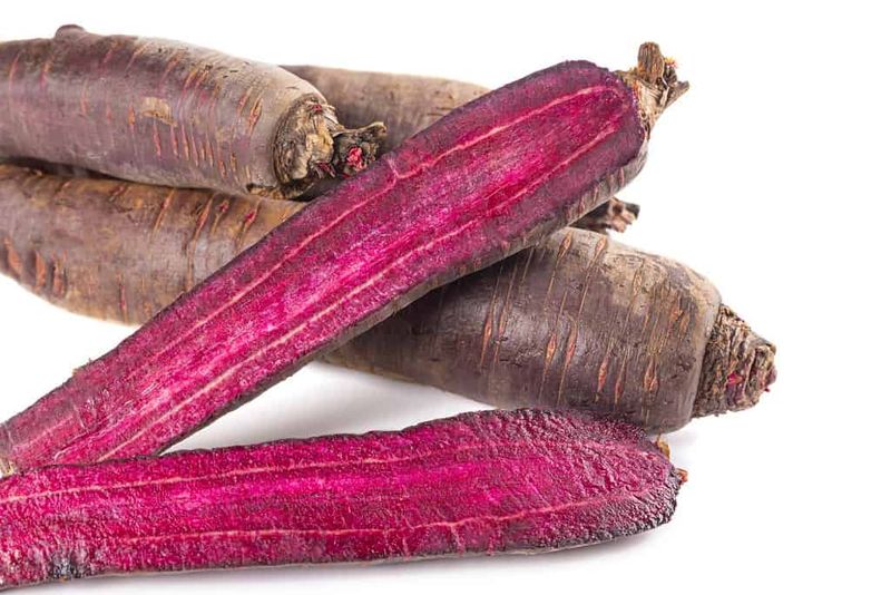 Carrots Were Originally Purple