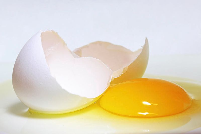 Egg