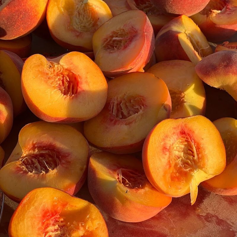 Sun-Ripened Peaches