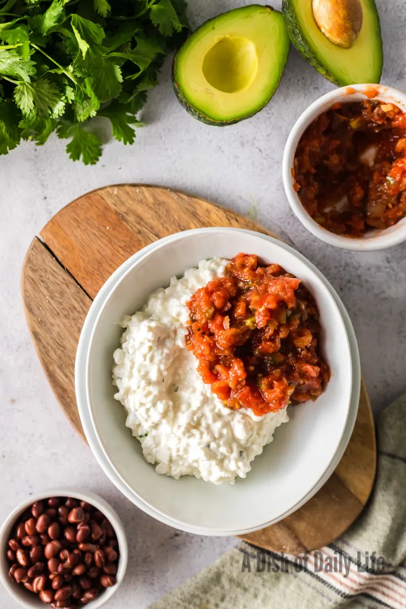 Salsa and Cottage Cheese Dip