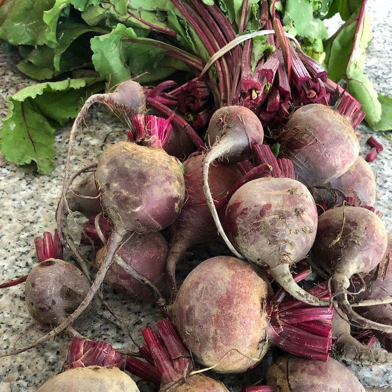 Beets