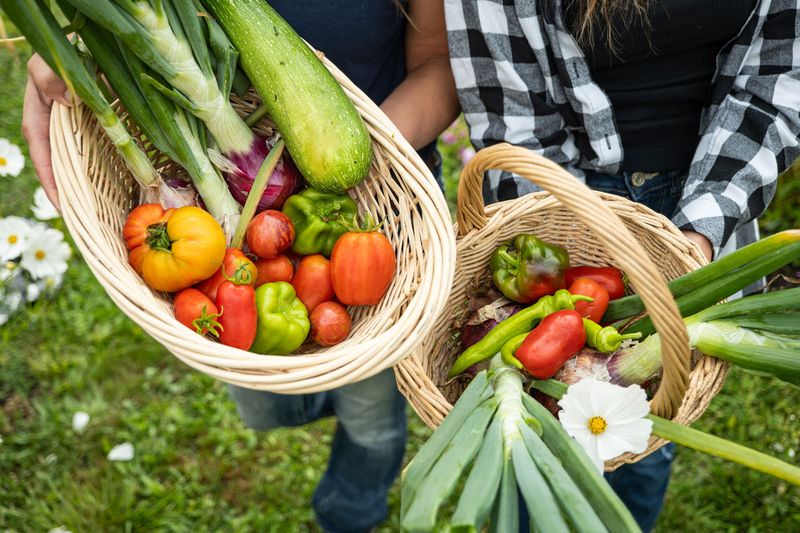 Farm-to-Table Eating