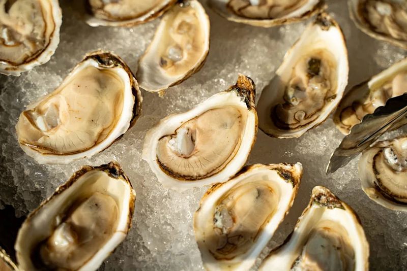Raw Oysters at Midnight