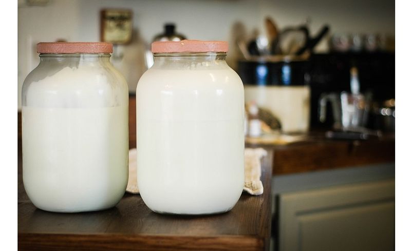 Drinking Raw Milk