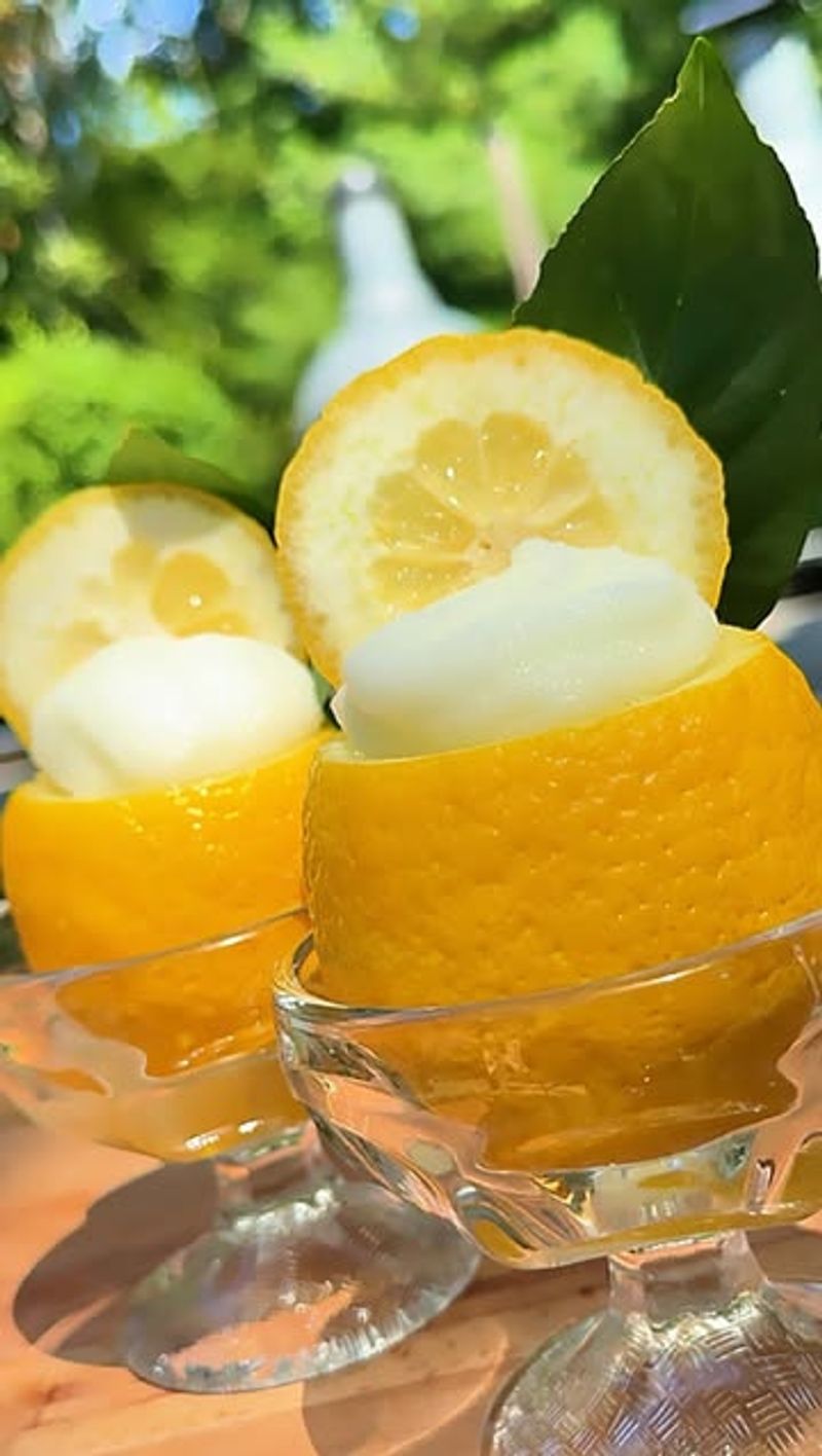 Lemon Sorbet