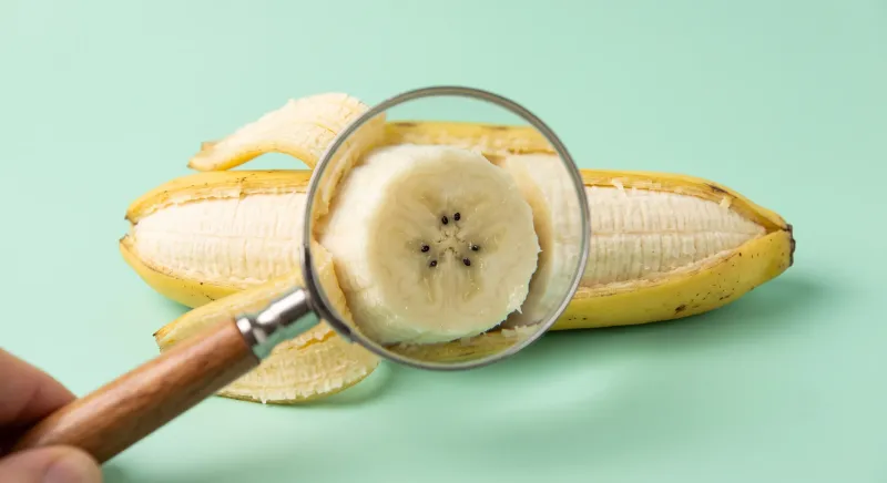 Bananas Are Technically Berries