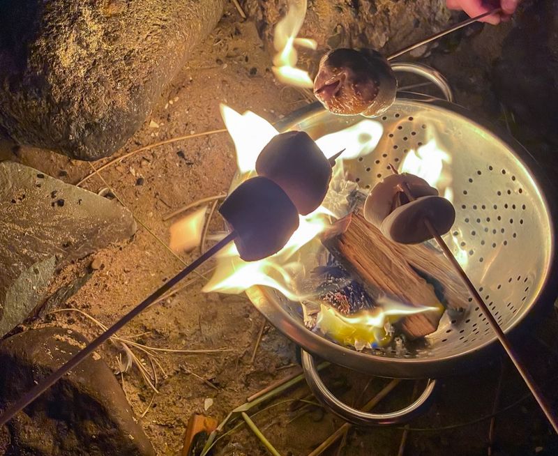 S'mores Made Over an Open Fire