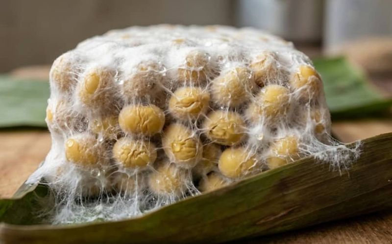 Indonesian Tempeh - Tropical Fermentation at Its Best