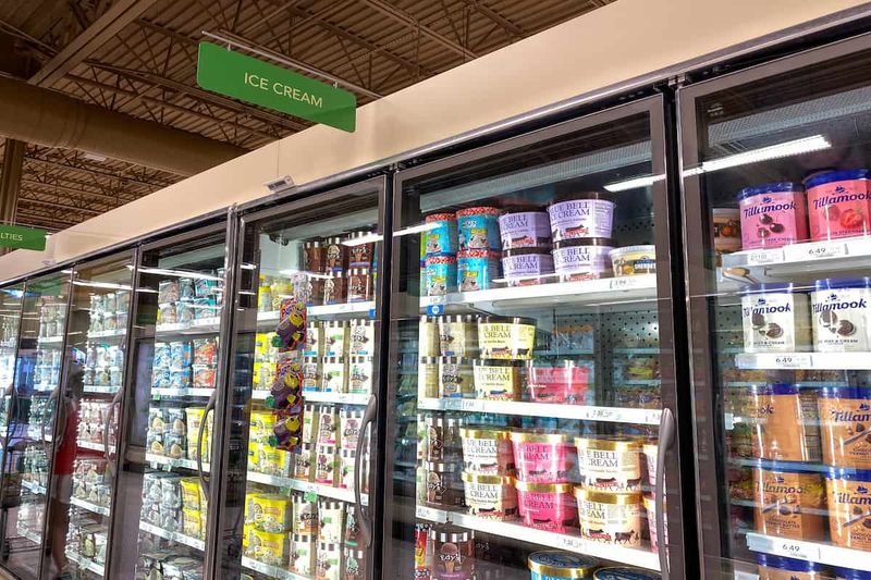 The Ice Cream Freezer