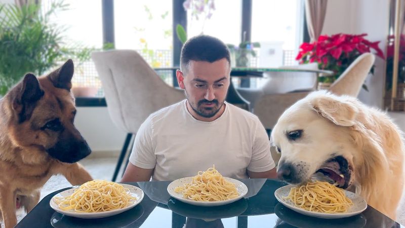 Speed Eating Spaghetti Race