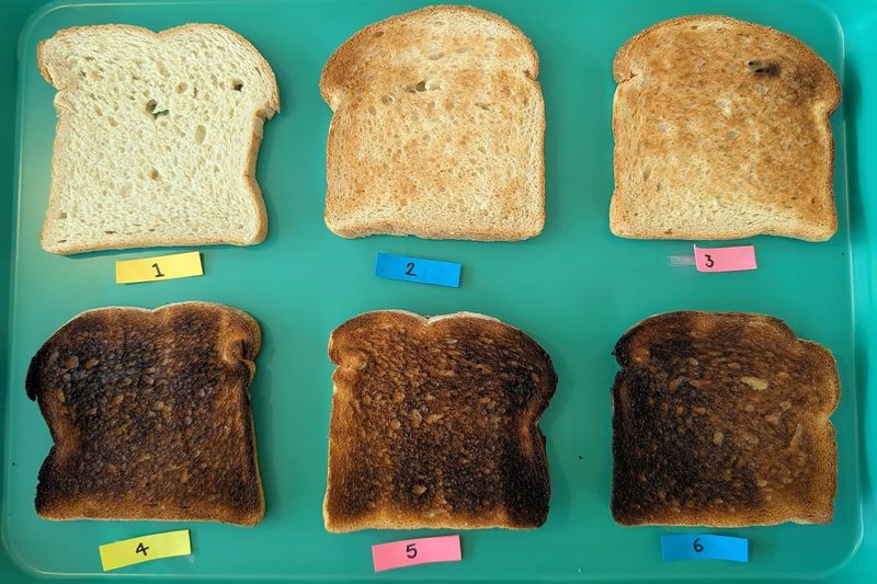 Toast Doneness Is a Non-Negotiable Topic