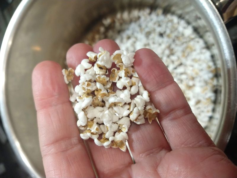 Popped Sorghum