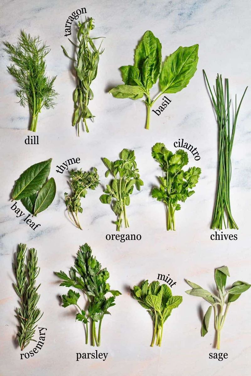 Fresh Herbs